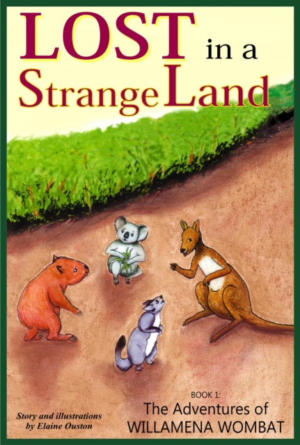 Lost in a Strange Land