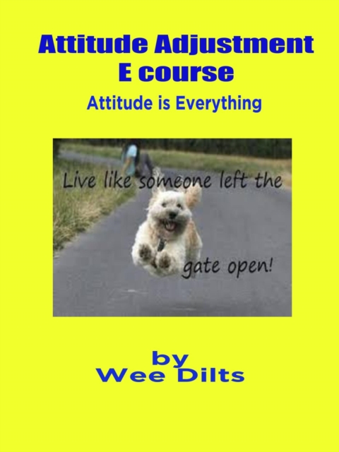 Attitude Adjustment E course