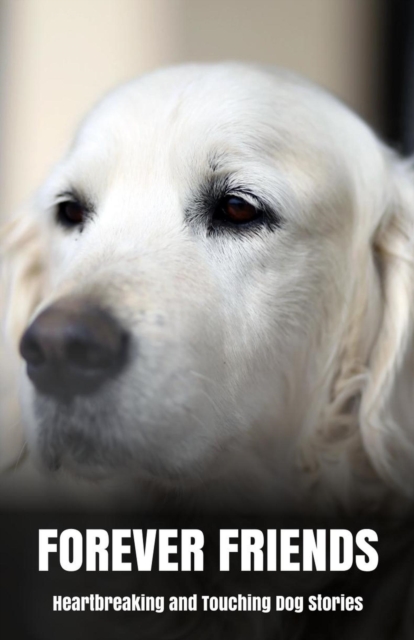 Forever Friends: Heartbreaking and Touching Dog Stories