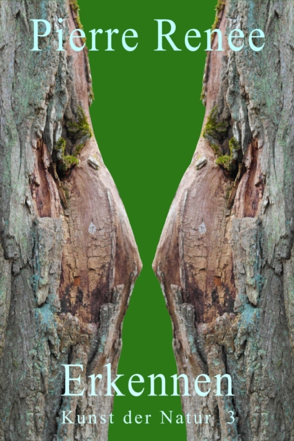 Erkennen (Kunst der Natur 3)