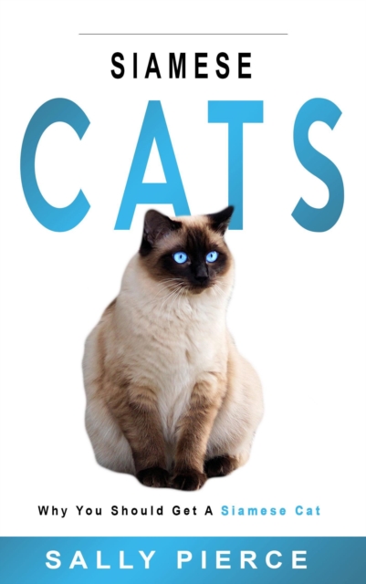 Siamese Cats: Why You Should Get a Siamese Cat