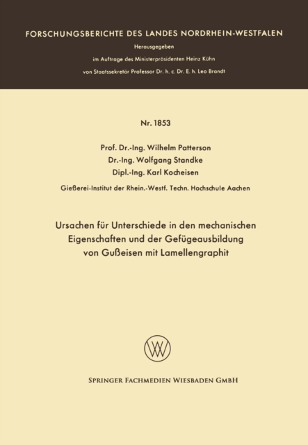 Ursachen für Unterschiede in den mechanischen Eigenschaften und der Gefügeausbildung von Gußeisen mit Lamellengraphit