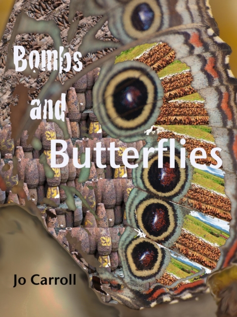 Bombs and Butterflies: Over the Hill in Laos