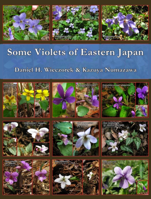 Some Violets of Eastern Japan