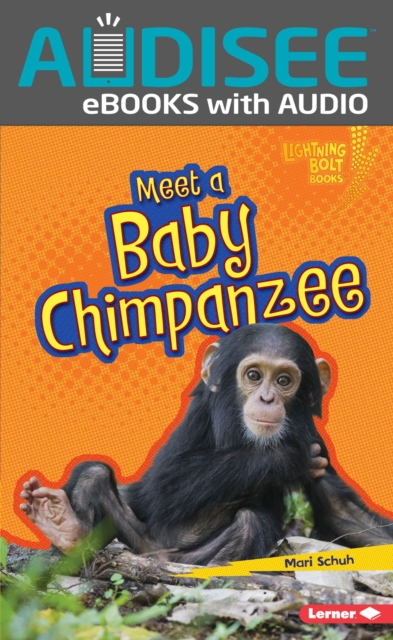 Meet a Baby Chimpanzee