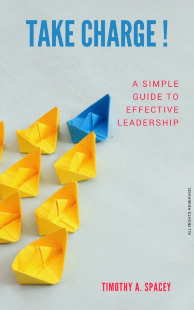 Take Charge : A Simple Guide To Effective Leadership