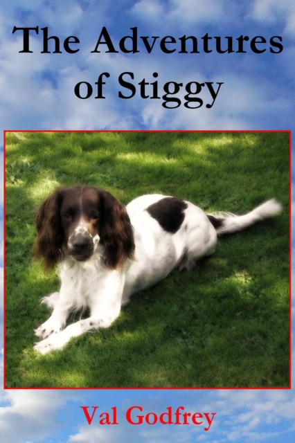 Adventures of Stiggy
