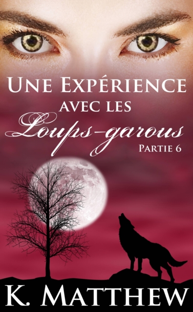 Une Expérience avec les Loups-Garous : Partie 6