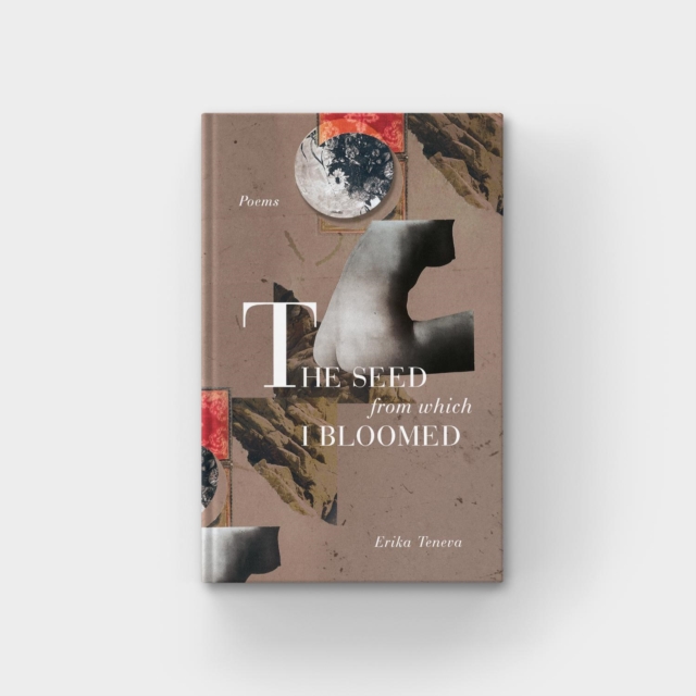 Seed From Which I Bloomed