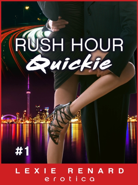 Rush Hour Quickie #1: Toronto Commuter Erotic Romance