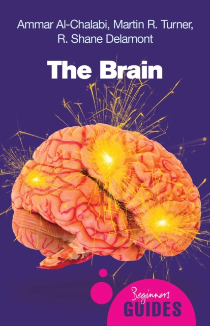 Brain