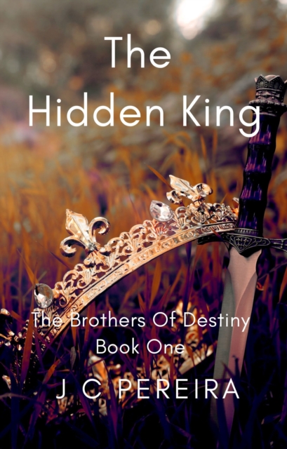 Hidden King (The Brothers of Destiny) Book One