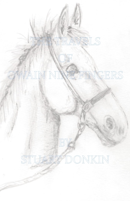 Travels of Owain Nine Fingers