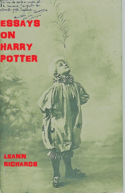Essays on Harry Potter