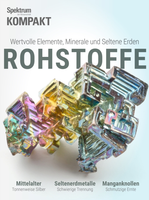 Spektrum Kompakt - Rohstoffe