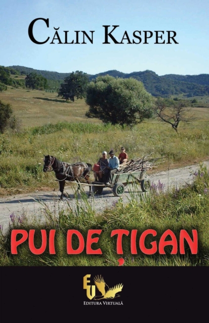 Pui de tigan