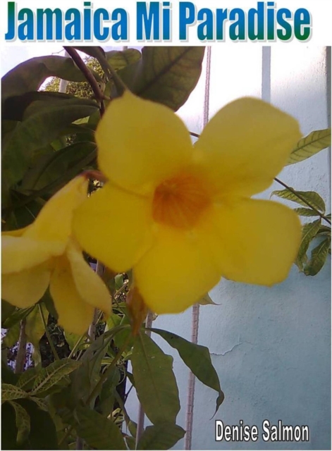 Jamaica Mi Paradise