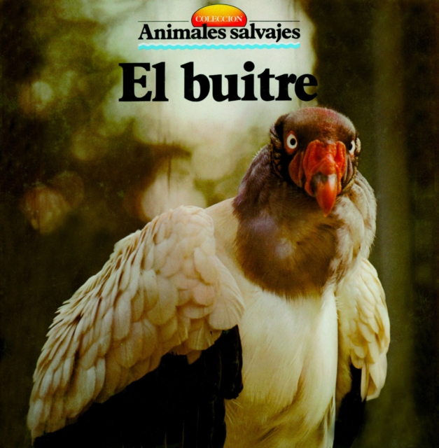 El buitre
