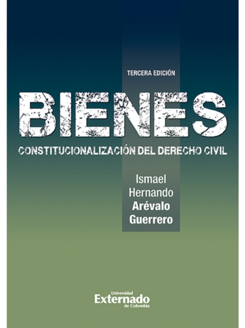 Bienes Constitucionalización del Derecho Civil