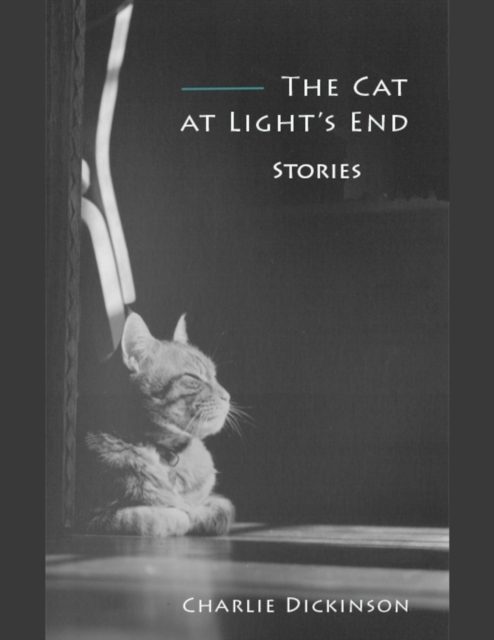 Cat at Light's End