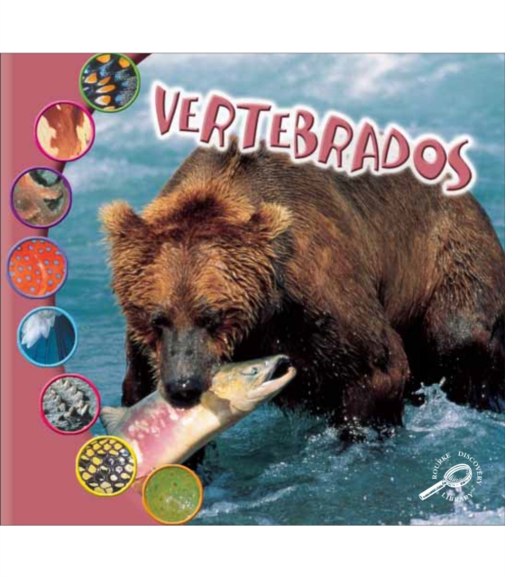 Vertebrados