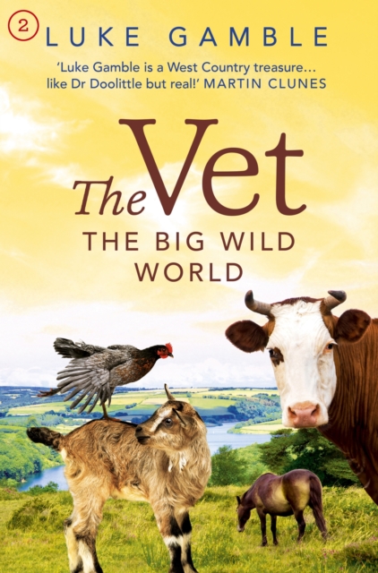 Vet 2: the big wild world