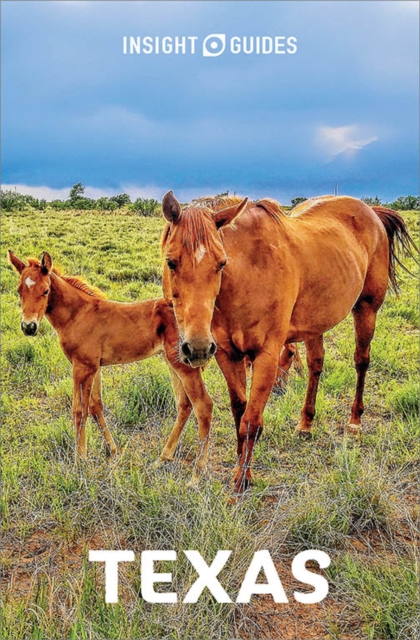 Insight Guides Texas: Travel Guide eBook