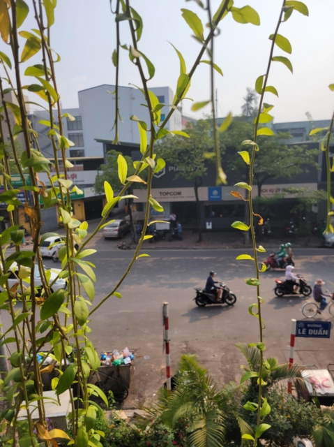 Travel with Nate: Searching on Hanoi 2024