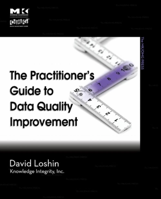 Practitioner's Guide to Data Quality Improvement