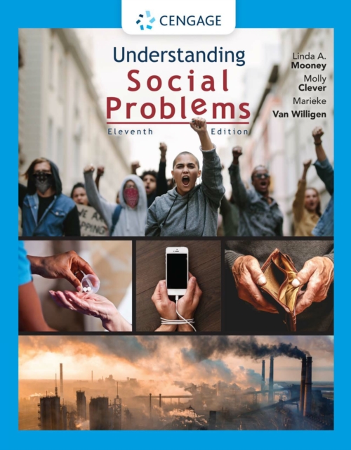 Understanding Social Problems