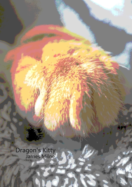 Dragon's Kitty