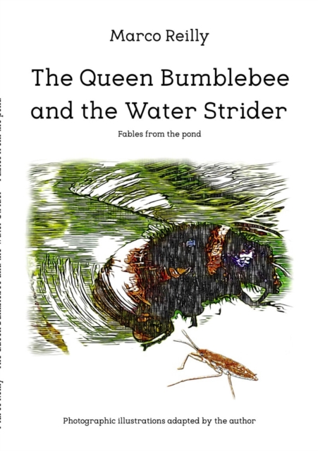 Queen Bumblebee and the Water Strider