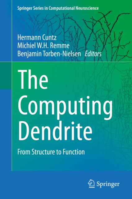 Computing Dendrite