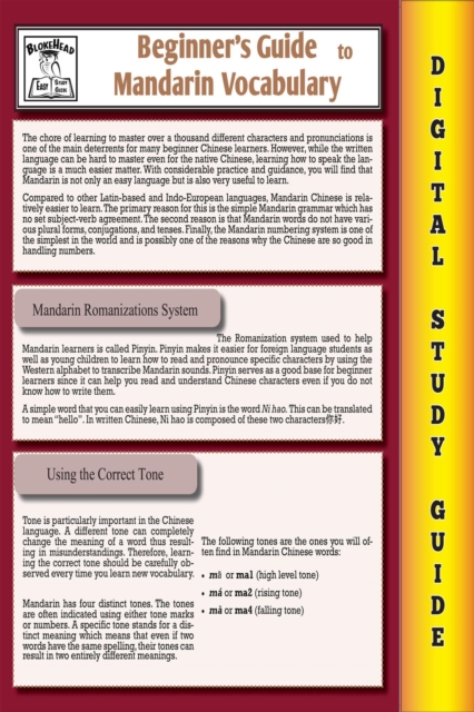 Mandarin Vocabulary ( Blokehead Easy Study Guide)
