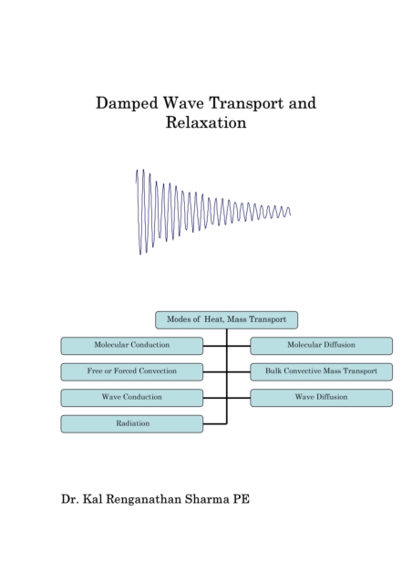 Damped Wave Transport and Relaxation