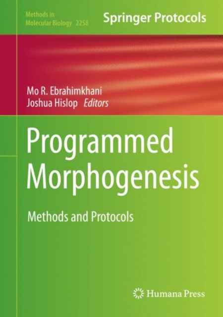 Programmed Morphogenesis