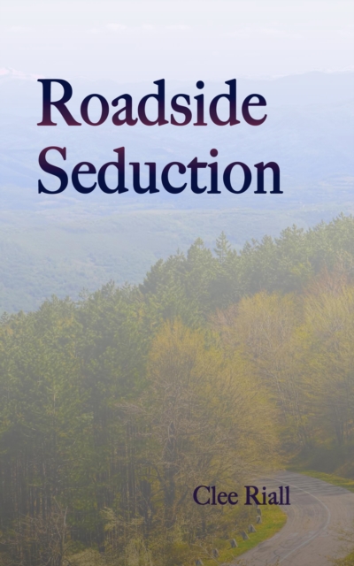 Roadside Seduction