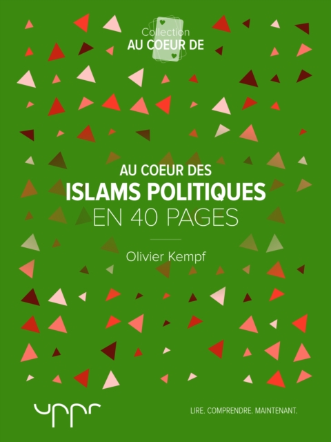 Au cœur des islams politiques