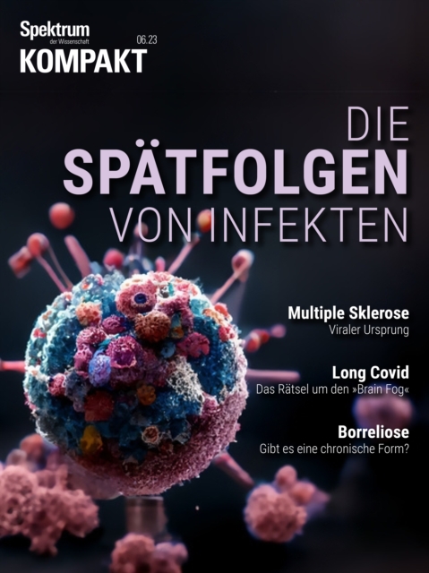 Spektrum Kompakt - Die Spätfolgen von Infekten