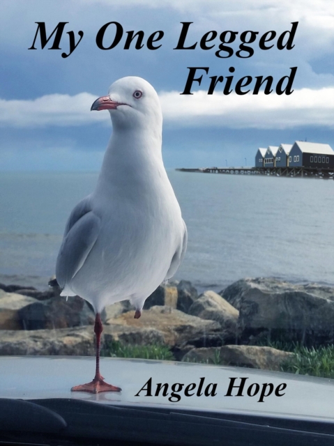 My One Legged Friend