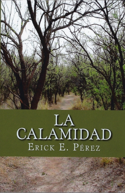 La Calamidad