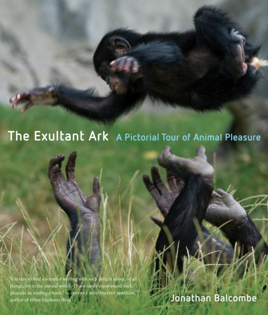 Exultant Ark