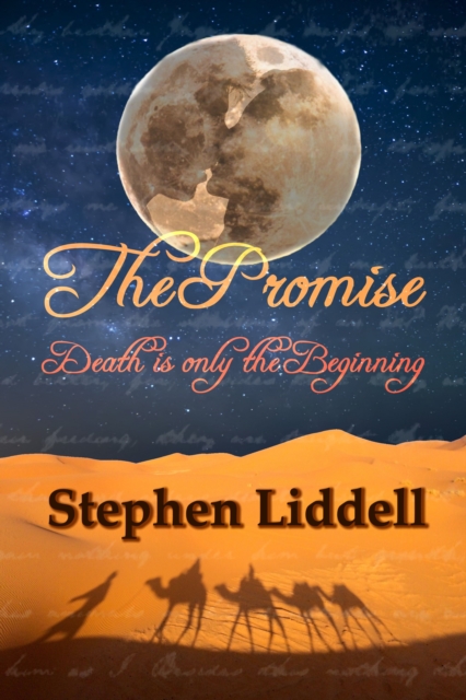Promise (Book One of the Timeless Trilogy)