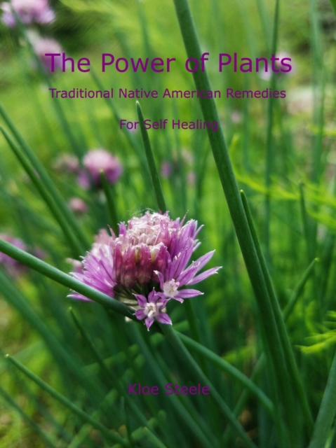 Power of Plants: Traditional Native American Herbal Remedies For Self Healing