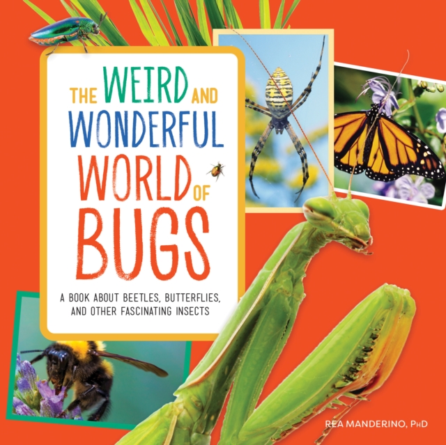 Weird and Wonderful World of Bugs