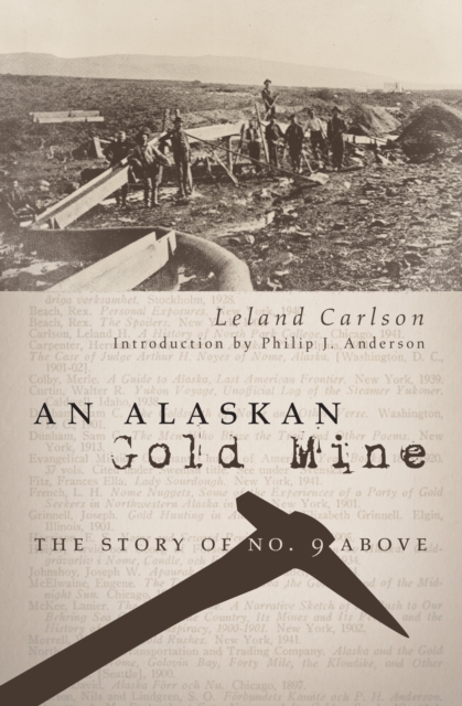 Alaskan Gold Mine