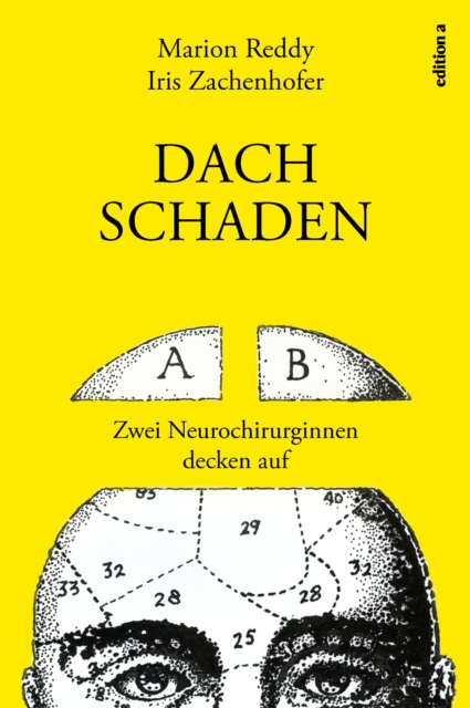 Dachschaden
