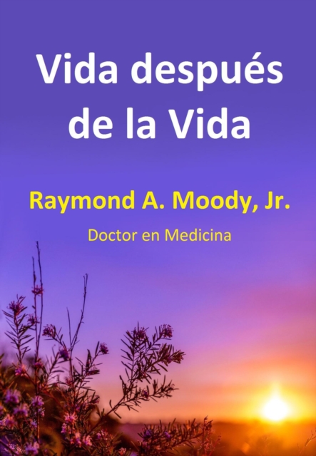 Vida despues de la Vida