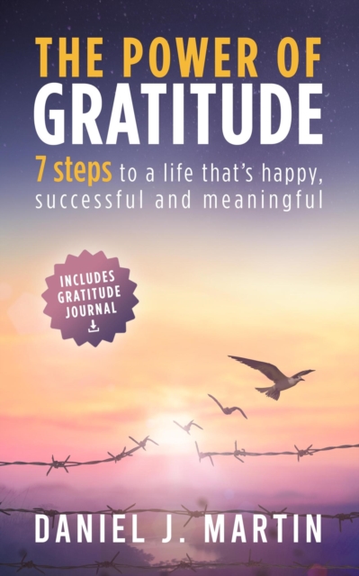 Power of Gratitude: 7 Steps to a Happier, More Successful and More Meaningful Life