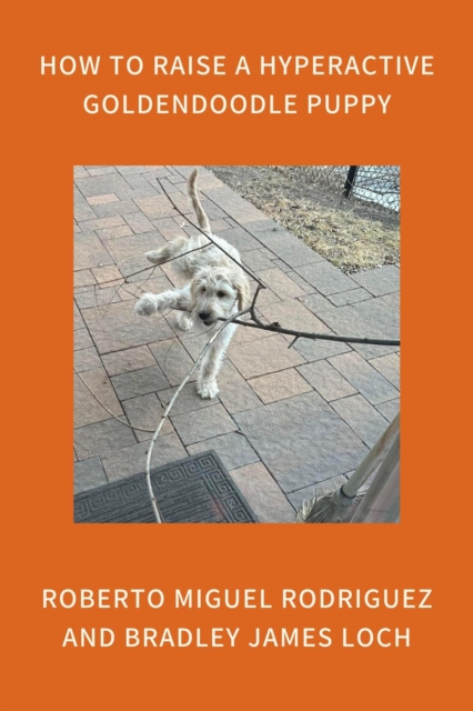 How to Raise a Hyperactive Goldendoodle Puppy